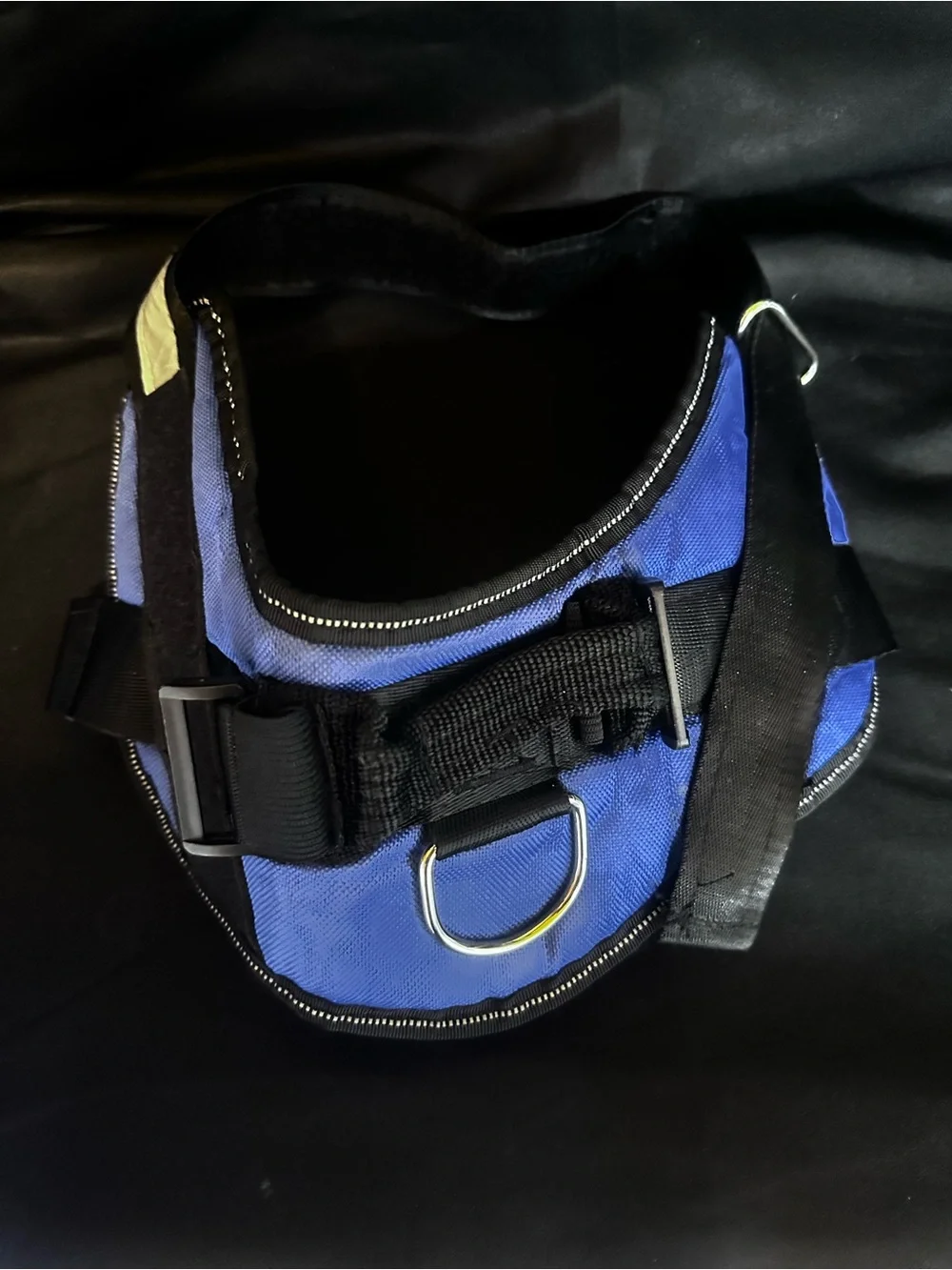 # Blue Dog Harness with Reflective Trim - Size Medium